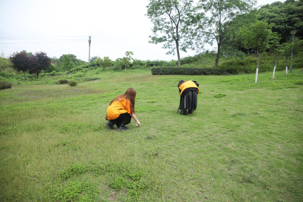 QQ图片20210429013023