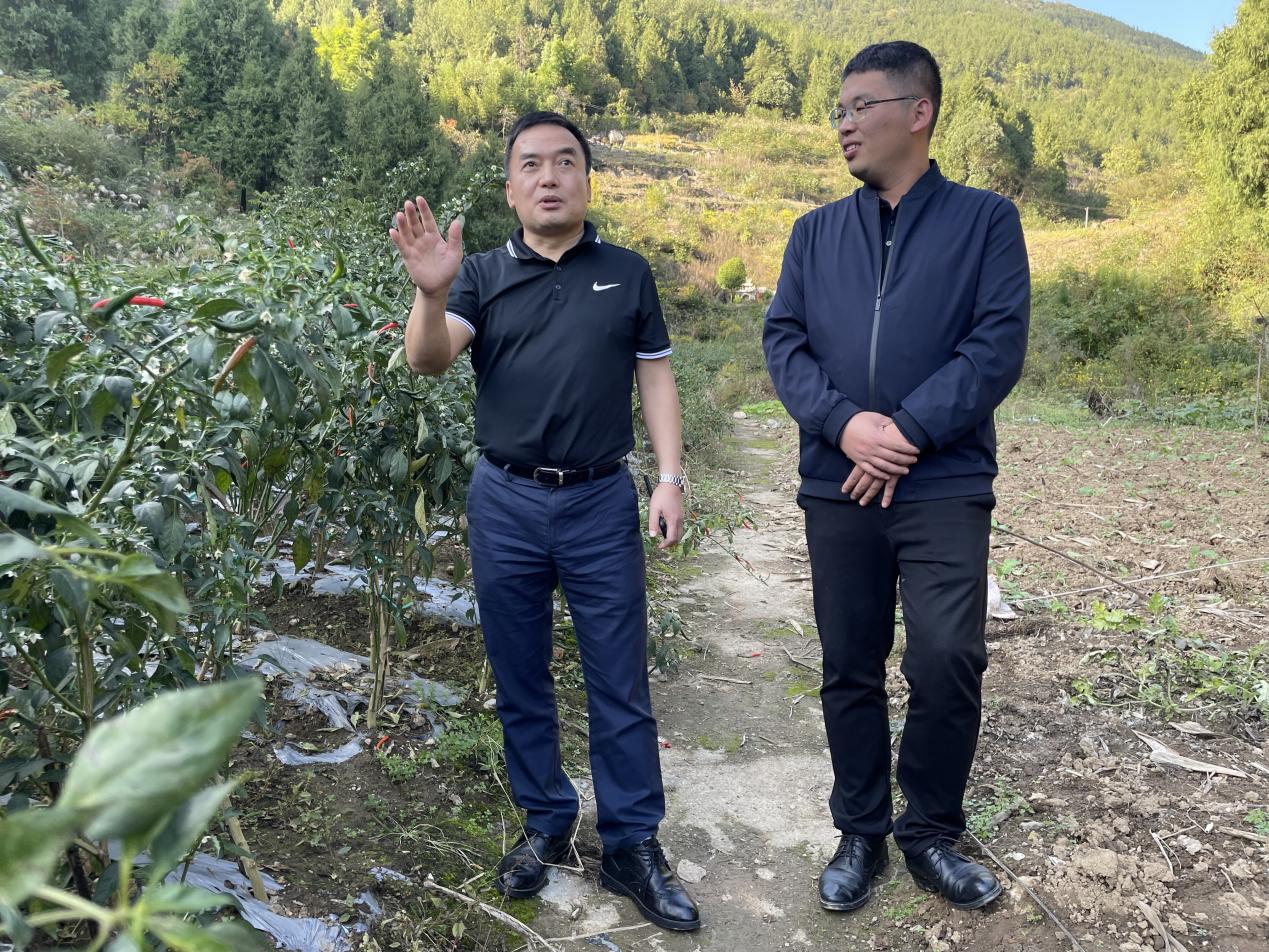 槽心村辣椒基地,祝柏村蓄水池