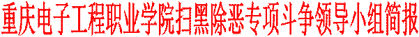 重庆电子工程职业学院扫黑除恶专项斗争领导小组简报