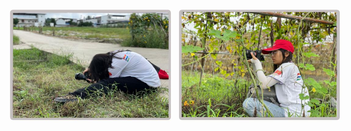 摄影展 工作人员 拼图 摄影展 工作人员 拼图